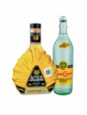 TEQUILA REP.100% TIERRA AZTECA .700C/AGUA MINERAL .750